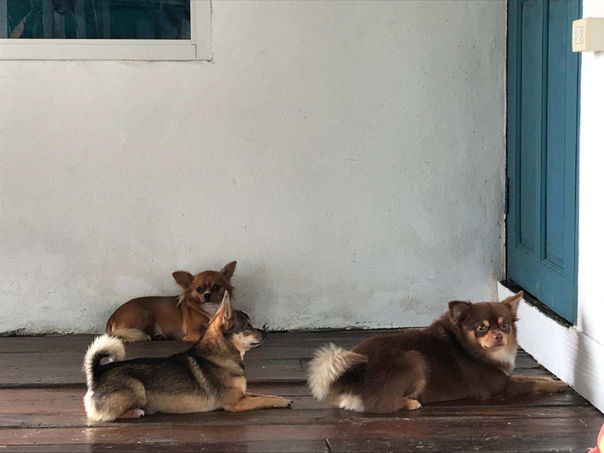 清邁班纳劳伊河宾馆住宿加早餐旅馆 外观 照片